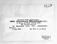 Image Associated With the Occurence